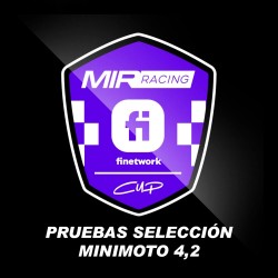 MINIMOTO 4,2 | PRUEBAS...