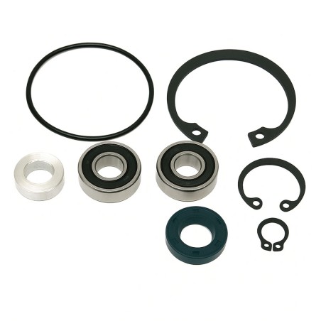 KIT REPARACION BOMBA AGUA BZM MINIMOTO BLATA / POLINI