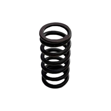 MUELLES EMBRAGUE MOTO 5