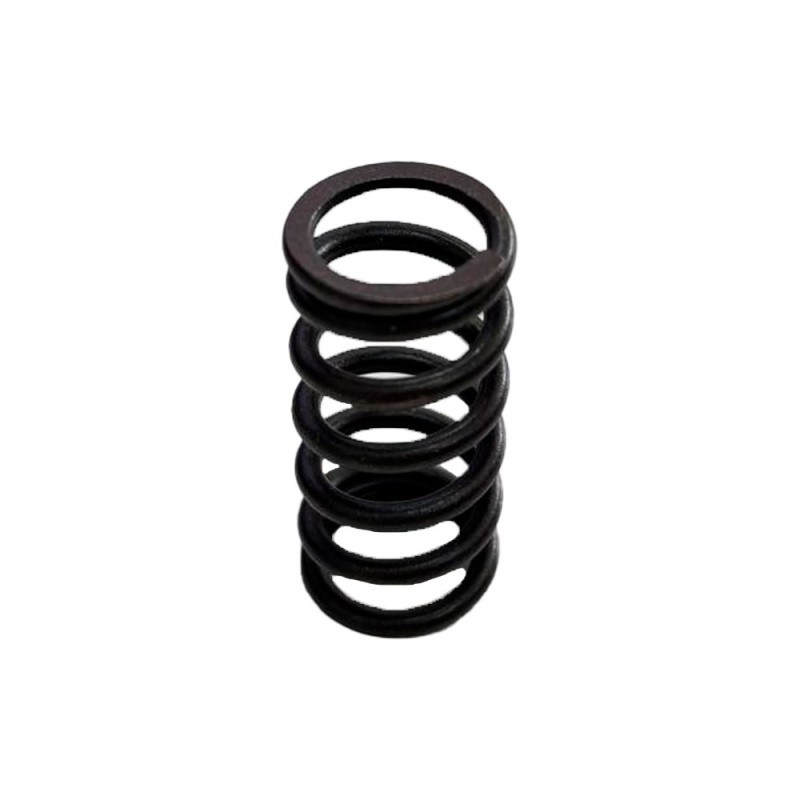 MUELLES EMBRAGUE MOTO 5