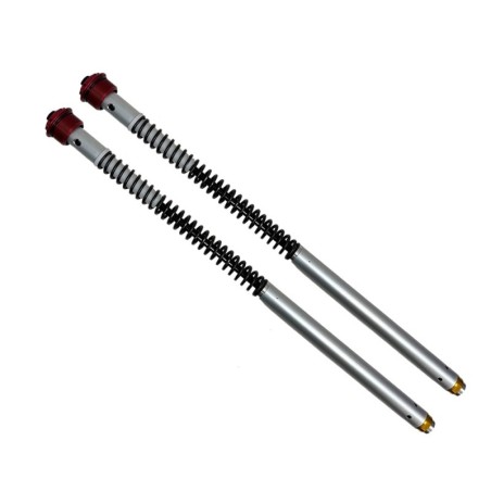 CARTUCHOS HORQUILLA RADIAL MIR RACING MASELLI 5 N/mm 660mm