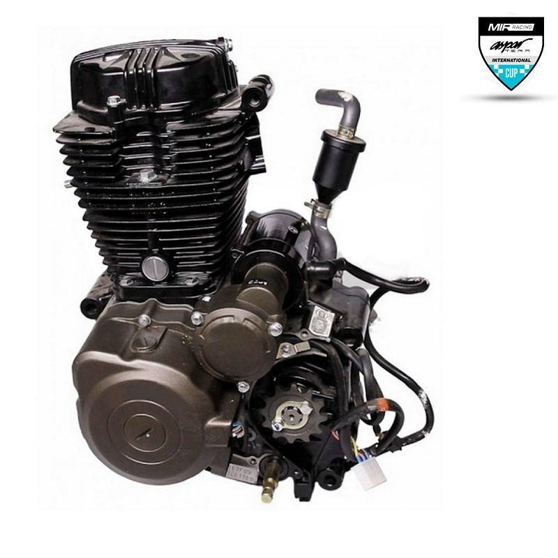 MOTOR 220cc GP12" CUP