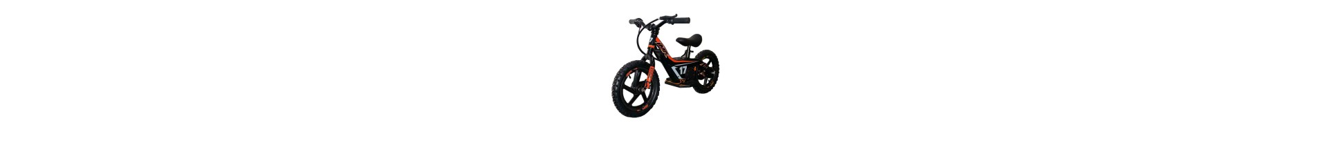 BICICLETA ELÉCTRICA