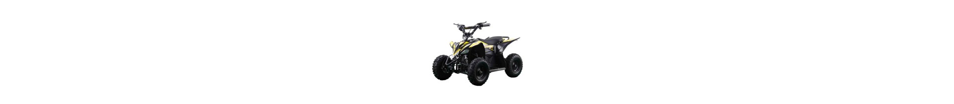 MINI QUAD ELÉCTRICO