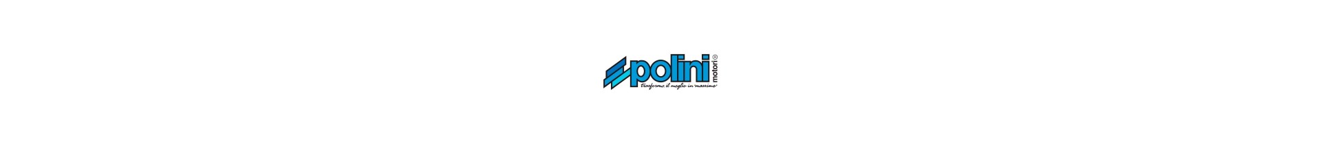 POLINI