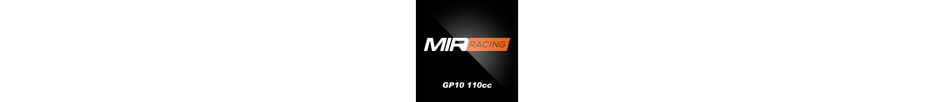DESPIECE GP10 110cc