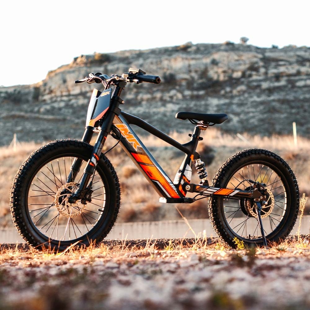 Tipos de bicicletas eléctricas